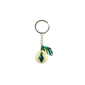 PAUA KEYRINGS - SHELL PIECES PAUA & PENGUIN