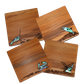 PAUA AND RIMU - COASTERS - SEA LIFE - SET OF 4 - BOXED