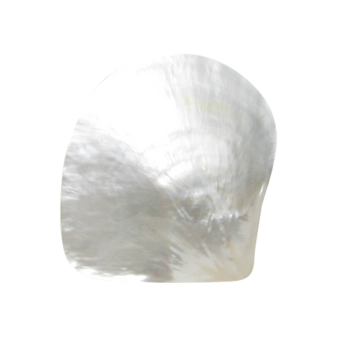 POLISHED SHELL - WHITE MOP - PETITE - BUFFED <100MM