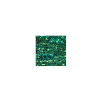 SHELL VENEER COATED - PAUA EMERALD GREEN (P&S) 100*100MM