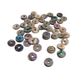 SHELL BEAD - PAUA DONUT - SMALL 8MM (48PCS)