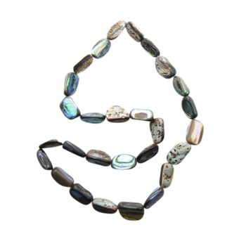 SHELL BEAD - PAUA FREEFORM