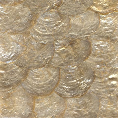 SHELL VENEER COATED - CAPIZ GOLD - 200*200MM