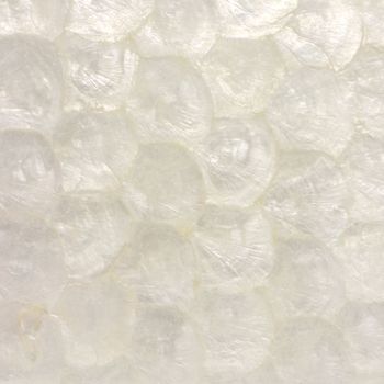 SHELL VENEER COATED - CAPIZ WHITE