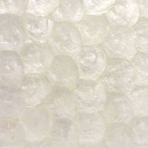 SHELL VENEER COATED - CAPIZ WHITE