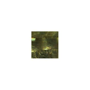 SHELL VENEER COATED - WMOP CATS EYE (P&S) 100*100MM