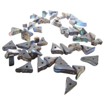 SHELL BEAD - PAUA TRIANGLE RIM - 8MM (48PCS)