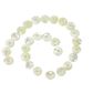 SHELL BEAD - TROCHUS PEARL DONUT - LARGE 15MM (27PCS)