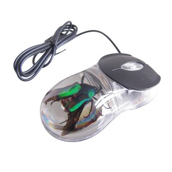 INSECT COMPUTER MOUSE