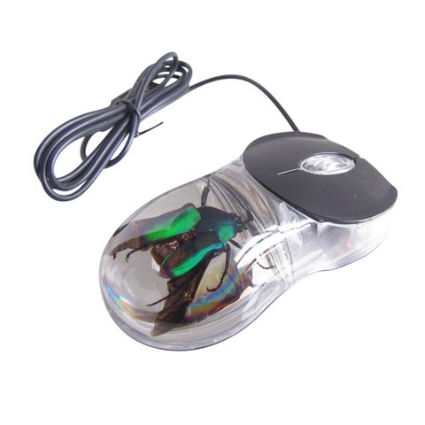 INSECT COMPUTER MOUSE