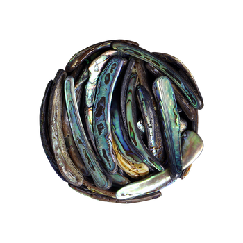 PAUA RIMS MEDIUM