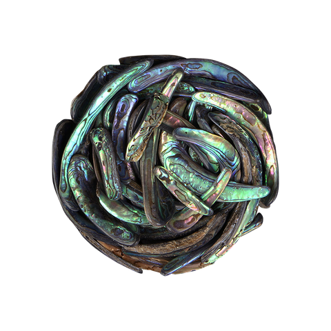 PAUA RIMS UNSORTED