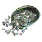 SHELL PIECES PAUA GLOSS DRILLED - SMALL 15-25MM - 1KG