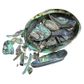 SHELL PIECES PAUA NATURAL - UNSORTED 1KG