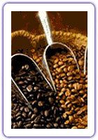 Tikolo Espresso Coffee Beans (100% Arabia Ryde Council Blend) 1kg
