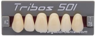 TRIBOS 501 UPPER ANTERIOR