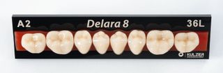 DELARA LOWER POSTERIOR