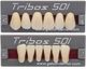 GEBDI TRIBOS 501 TEETH