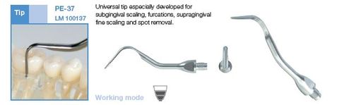 FINE UNIVERSAL SCALER TIP 37