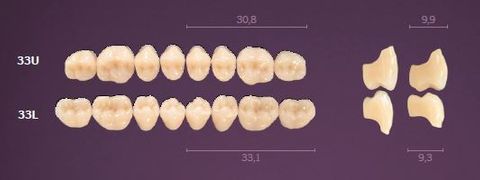 33-A3 MONDIAL TEETH LOWER POSTERIOR