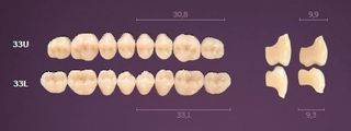 33-A3 MONDIAL TEETH LOWER POSTERIOR