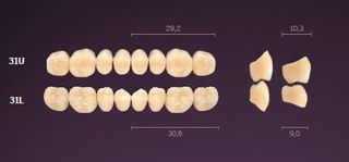 31-A1 IDEALIS TEETH LOWER POSTERIOR
