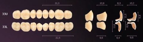 33-A2 IDEALIS TEETH LOWER POSTERIOR