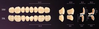 33-D3 IDEALIS TEETH LOWER POSTERIOR