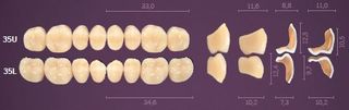 35-A1 IDEALIS TEETH LOWER POSTERIOR