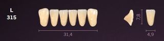 L315-A2 MONDIAL TEETH LOWER ANTERIOR