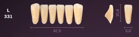 L331-A1 MONDIAL TEETH LOWER ANTERIOR