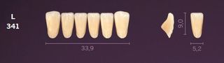 L341-A1 MONDIAL TEETH LOWER ANTERIOR