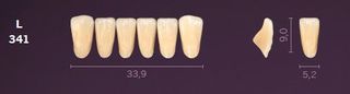 L341-C1 MONDIAL TEETH LOWER ANTERIOR