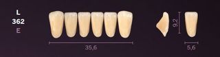 L362-A35 MONDIAL TEETH LOWER ANTERIOR