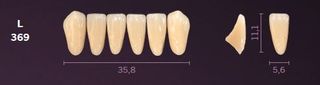 L369-B3 MONDIAL TEETH LOWER ANTERIOR