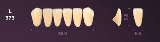 L373-B3 MONDIAL TEETH LOWER ANTERIOR