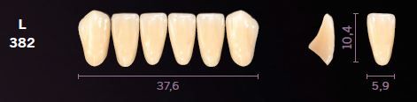 L382-A1 MONDIAL TEETH LOWER ANTERIOR