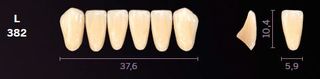 L382-B1 MONDIAL TEETH LOWER ANTERIOR