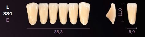 L384-A3 MONDIAL TEETH LOWER ANTERIOR