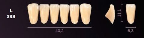 L398-A1 MONDIAL TEETH LOWER ANTERIOR