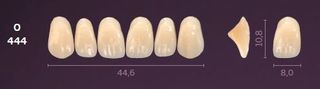 O444-B4 MONDIAL TEETH UPPER ANTERIOR