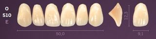 O510-A1 MONDIAL TEETH UPPER ANTERIOR