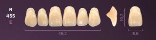 R455-A1 MONDIAL TEETH UPPER ANTERIOR