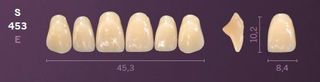 S453-A4 MONDIAL TEETH UPPER ANTERIOR