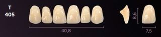 T405-A1 MONDIAL TEETH UPPER ANTERIOR