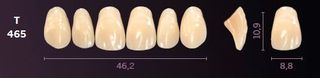 T465-A1 MONDIAL TEETH UPPER ANTERIOR