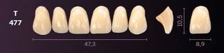 T477-A4 MONDIAL TEETH UPPER ANTERIOR