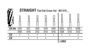 31-010 557 CARBIDE CA NORTHBEL BURS /5