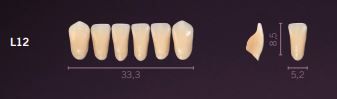 L12-A1 PREMIUM TEETH LOWER ANTERIOR