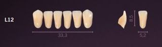 L12-A2 PREMIUM TEETH LOWER ANTERIOR